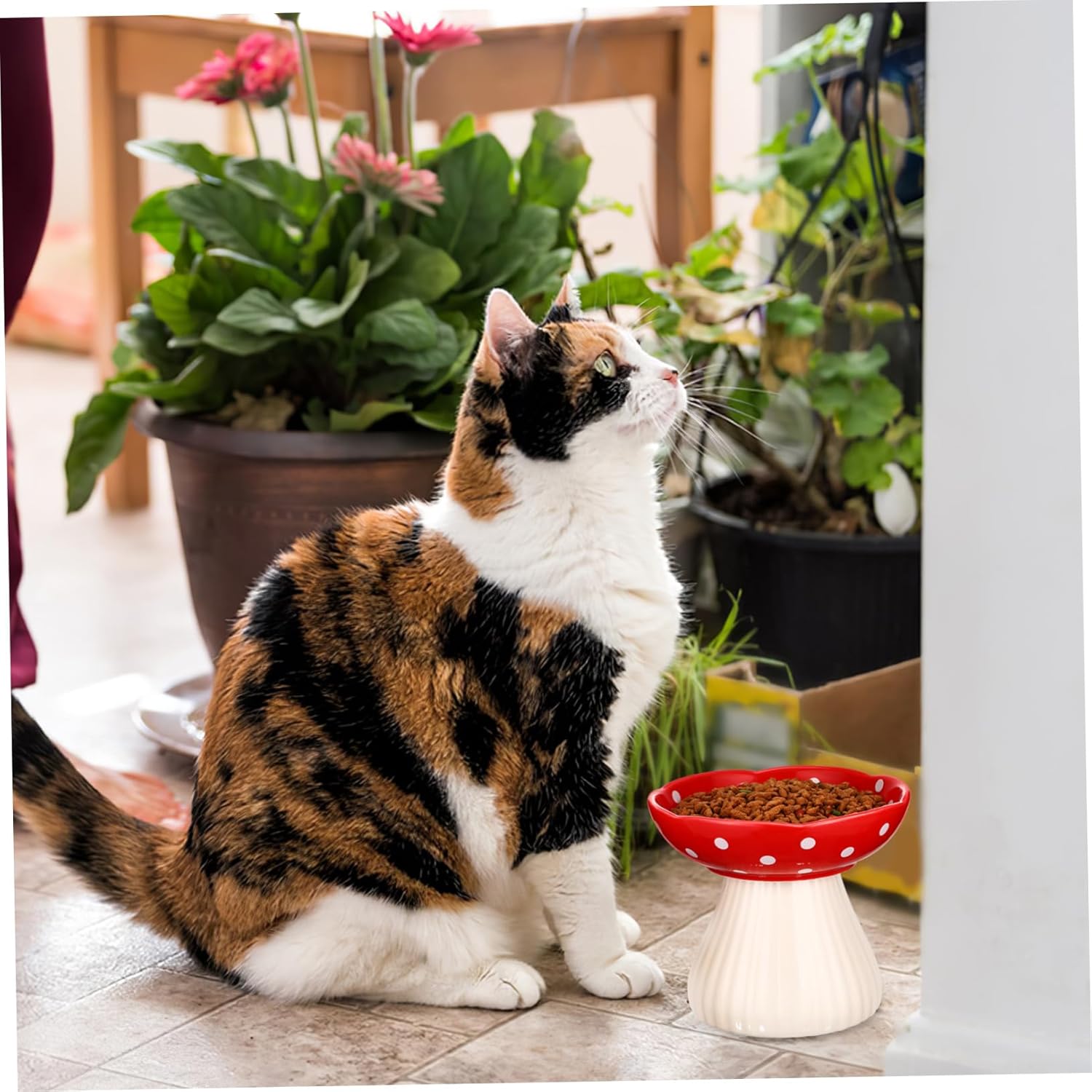 Vaguelly Elevated Ceramic Cat Bowl Stable High Cat Feeder Wide Base Mushroom Design for Comfortable Dining Prevents Whisker Fatigue Easy to Pet Dish