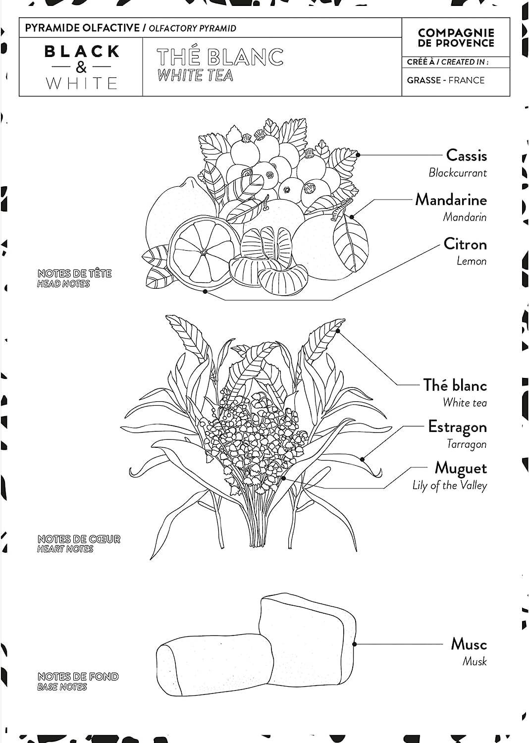 Compagnie de Provence Luxury Hand Cream - White Tea - 10 Fl Oz Glass Pump Bottle - Image 6