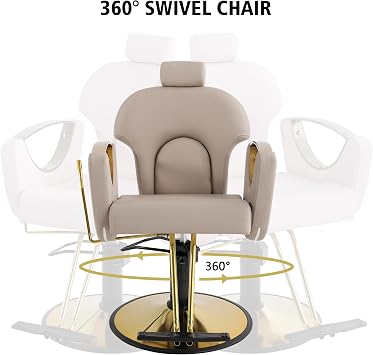 KIGOTY Salon Chair for Hair Stylist, 360 Swivel Reclining Barber Chair for Barbershop, Height Adjustable Hair Chairs, Hairdresser Braiding Styling Chairs, Beauty Spa Equipment (Grey)