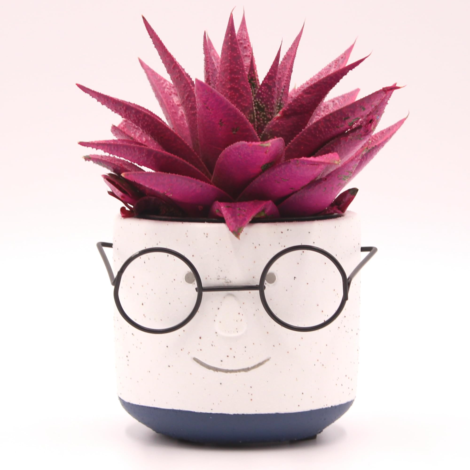 Face Planter Pot with Drainage, Cute 4 inch Succulent Pot with Glasses (Blue)