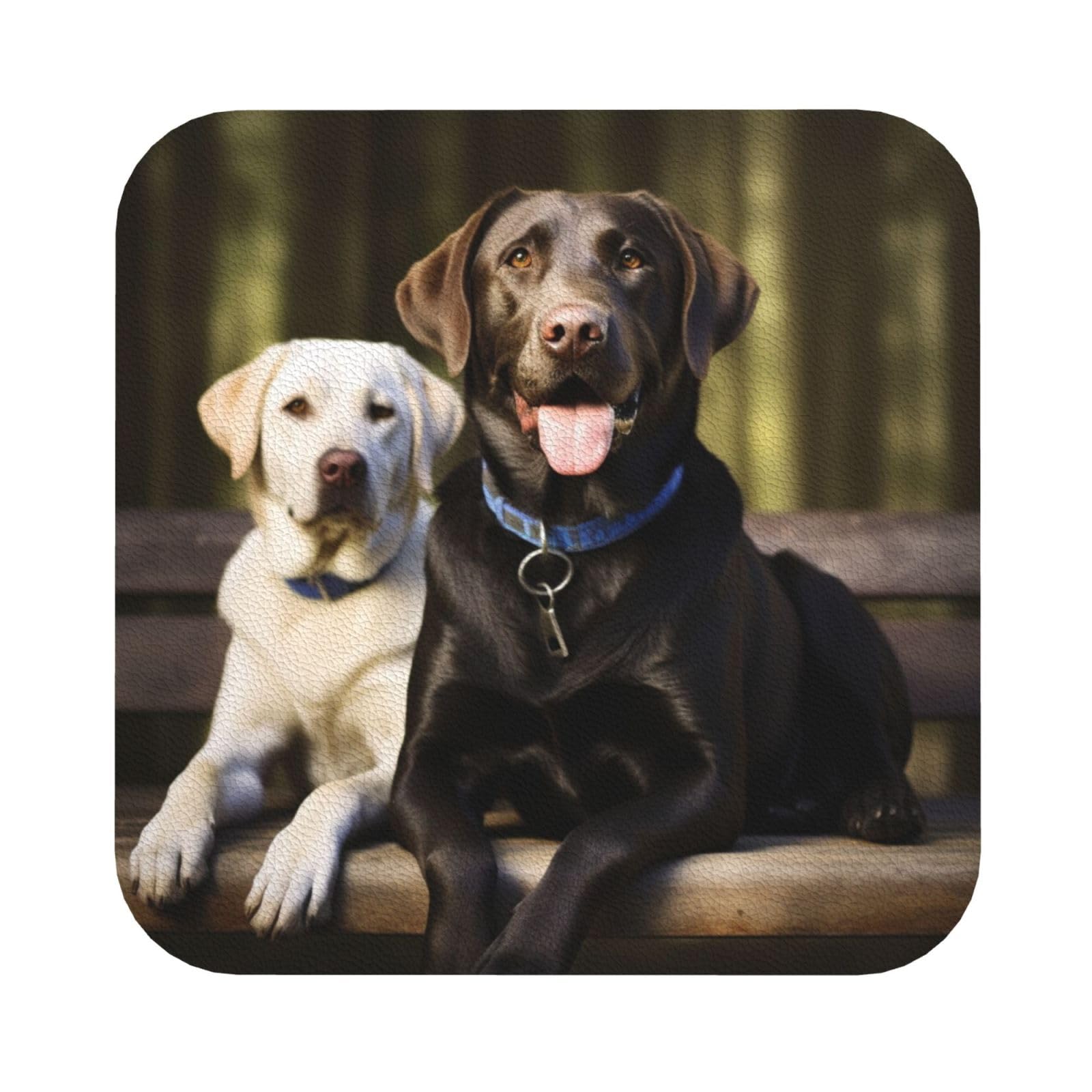 Fodpand Square Labrador Drink Coasters Set Of 4, Heat Resistant Leather Coasters Fuuny Bar Beer Beverage Coaster For Drinks, Absorbent Cup Mat For Tabletop Protection, Housewarming Gift