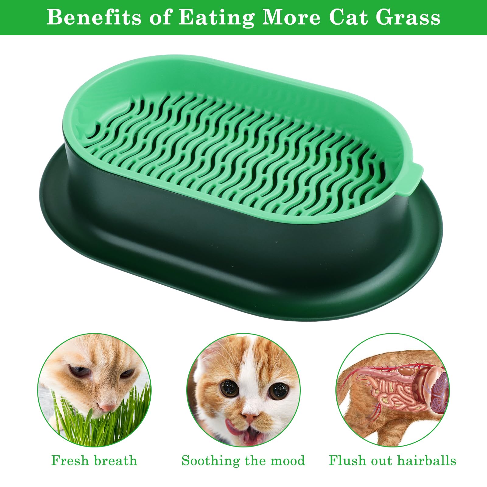 2 Piezas Caja de Hierba para Gatos, Maceta hidropónica para Hierba Gato, Kit de Cultivo de Hierba para Gatos, Caja Plantación Hierba, Bandeja para Hierba de Gato Apto para Todos los Gatos