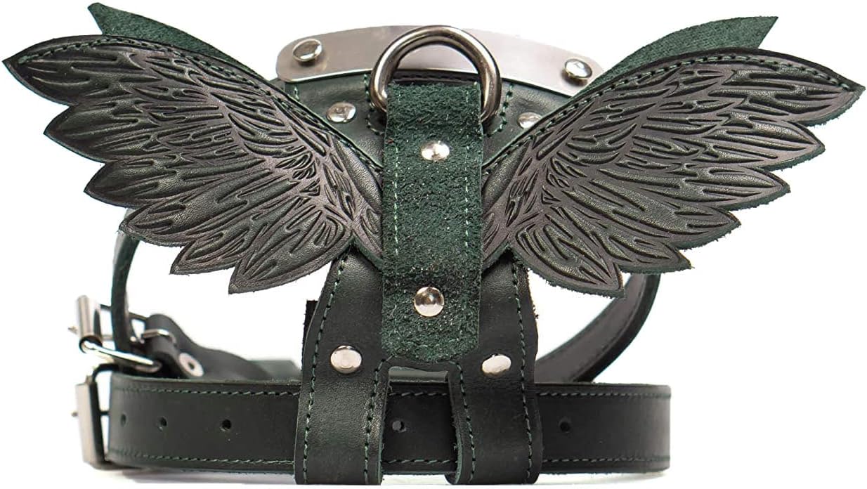 Pohvalin Leather dog harness with tag, dog collar with wings