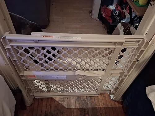 Toddleroo by North States — shown in a real home setting for scale