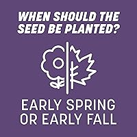 Vista 11 de Césped alto inteligente Pennington