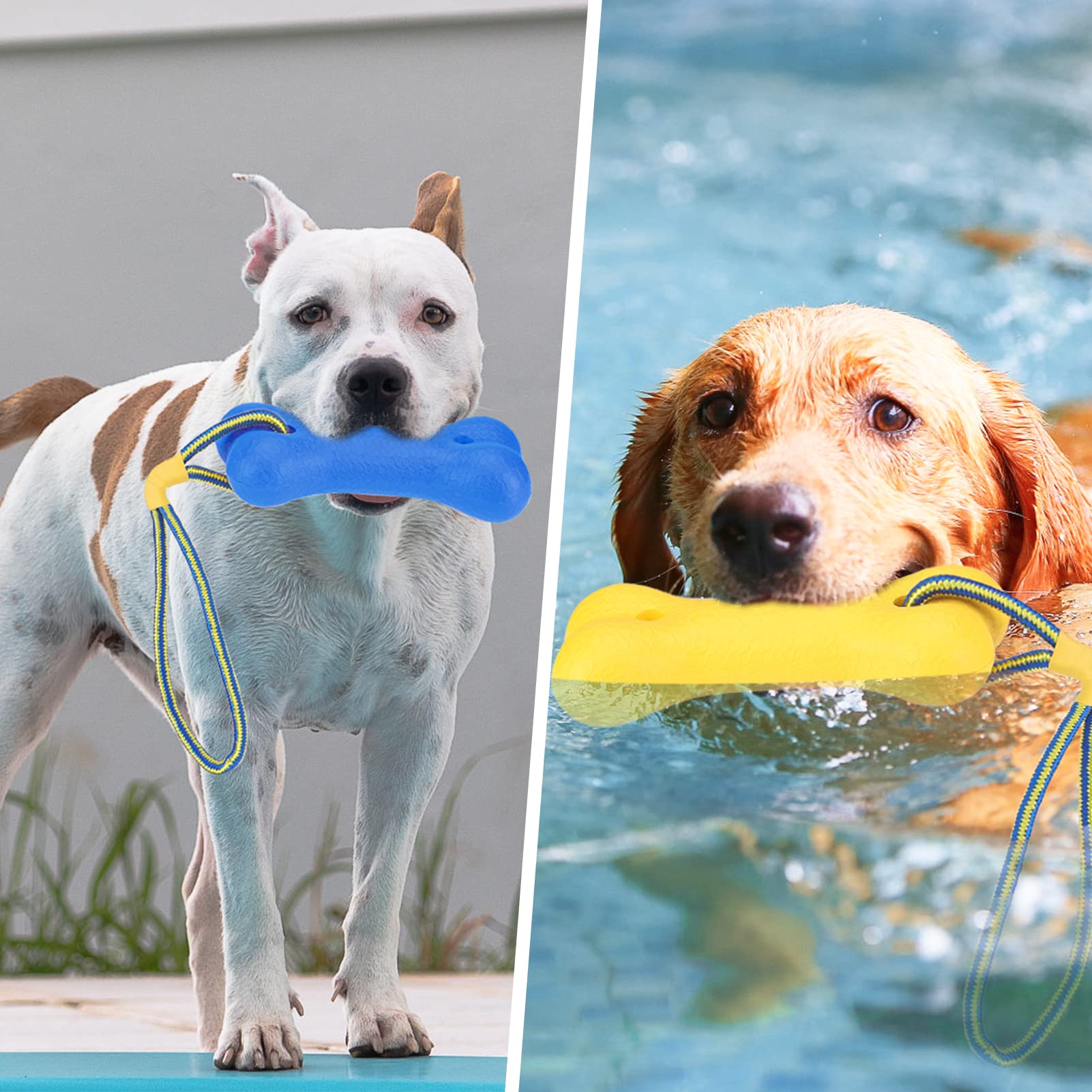 SCENEREAL Pet Chew Toy