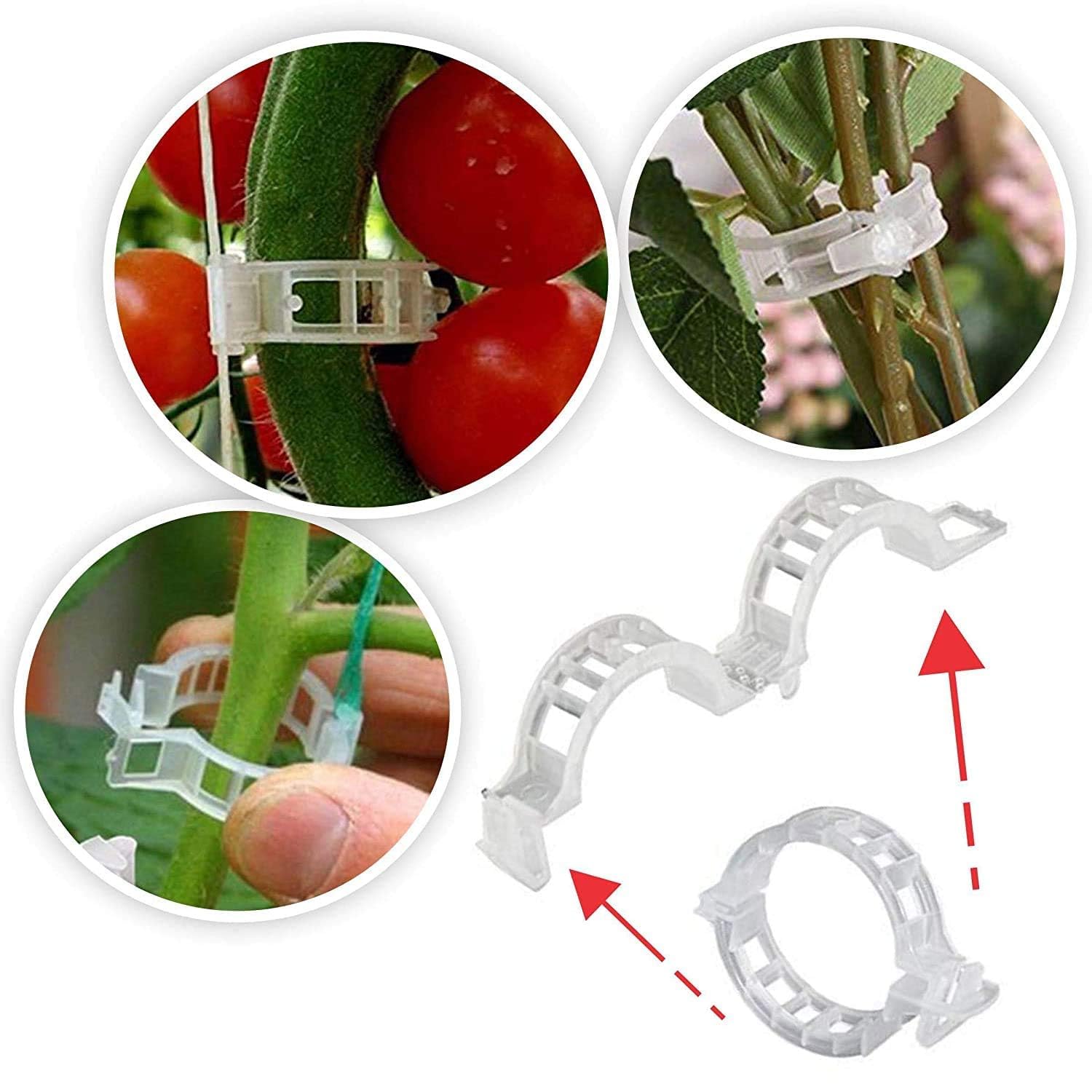 Plant Support Clips - Grow Your Vegetables! -2