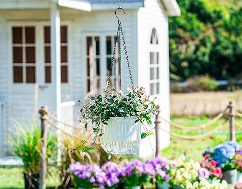 Miniatura 8 de Melphoe 2 Pack Self Watering Hanging Planters Indoor Hanging Flower Pots 65 Inch Outdoor Hanging Plant Pot Basket Plant Hanger with 3Hooks Drainage