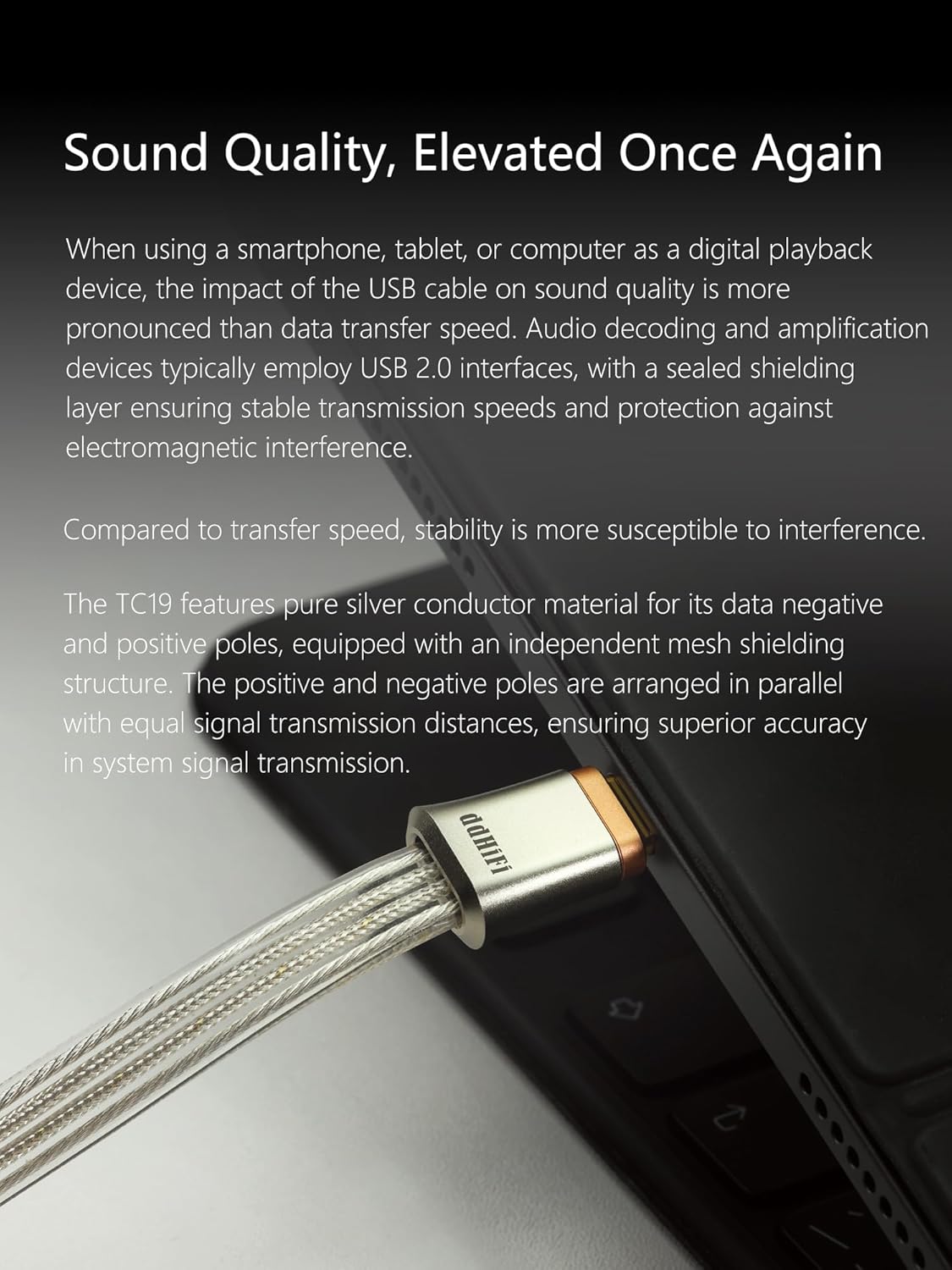 DD ddHiFi TC19CC USB C Cable Digital Signal OTG Cable Pure Silver USB-C to USB-C DAC Cable, Four-Wire Parallel Design, 25cm