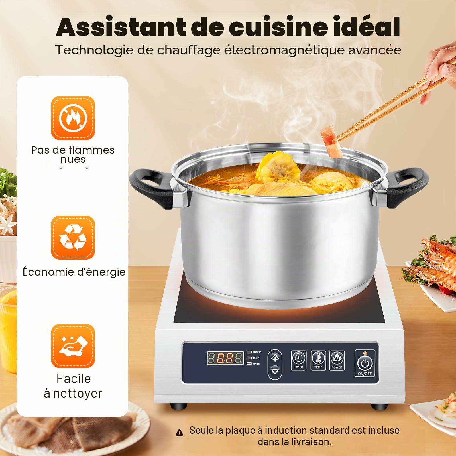 Plaque de cuisson à induction professionnelle 3500 W - 11 niveaux de puissance - Minuterie 24 h - Pour la restauration et la maison - Verre microcristallin - Prise européenne (argenté/bleu