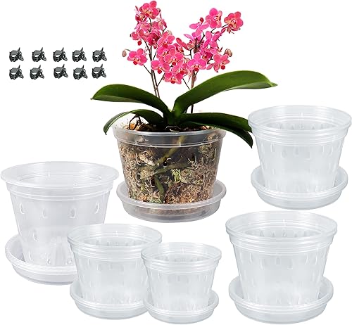 DI QIU REN Paquete de 10 macetas de orquídeas transparentes para trasplantar, macetas de plástico de 6 pulgadas con agujeros y platillos, maceta de