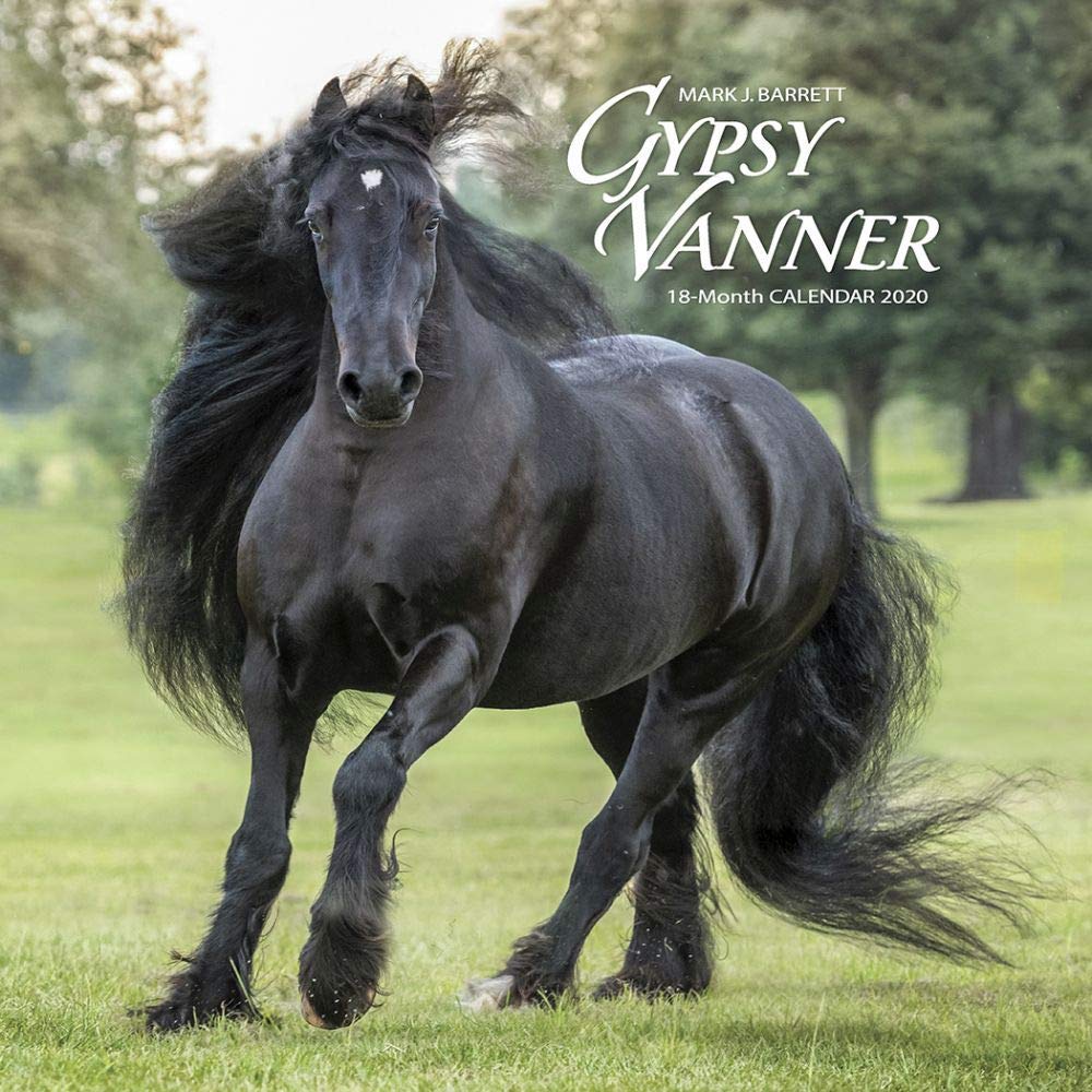 Gypsy Vanner Horse 2020 Wall Calendar Calendar – Wall Calendar, July 26, 2019