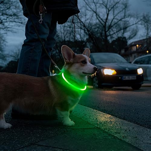 Miniatura 6 de Collares de perro iluminados HIGO, collar de perro LED recargable por USB, collar de perro de TPU que se puede cortar y brilla en la oscuridad,