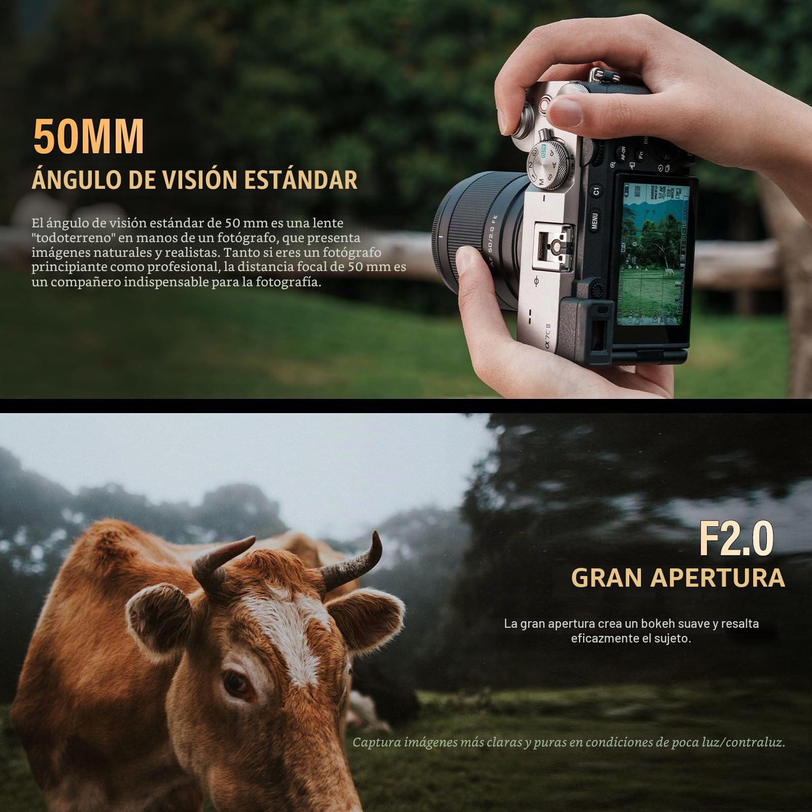 VILTROX 50mm F2.0 Full Frame Autofocus Objectifs pour appareil Photo Sony E Mount Camera Lenses FE Compatible Avec Sony a7 a7C a7III a7RIII a7RIV a7RV a9 a6100 a6400 a6700(Black)