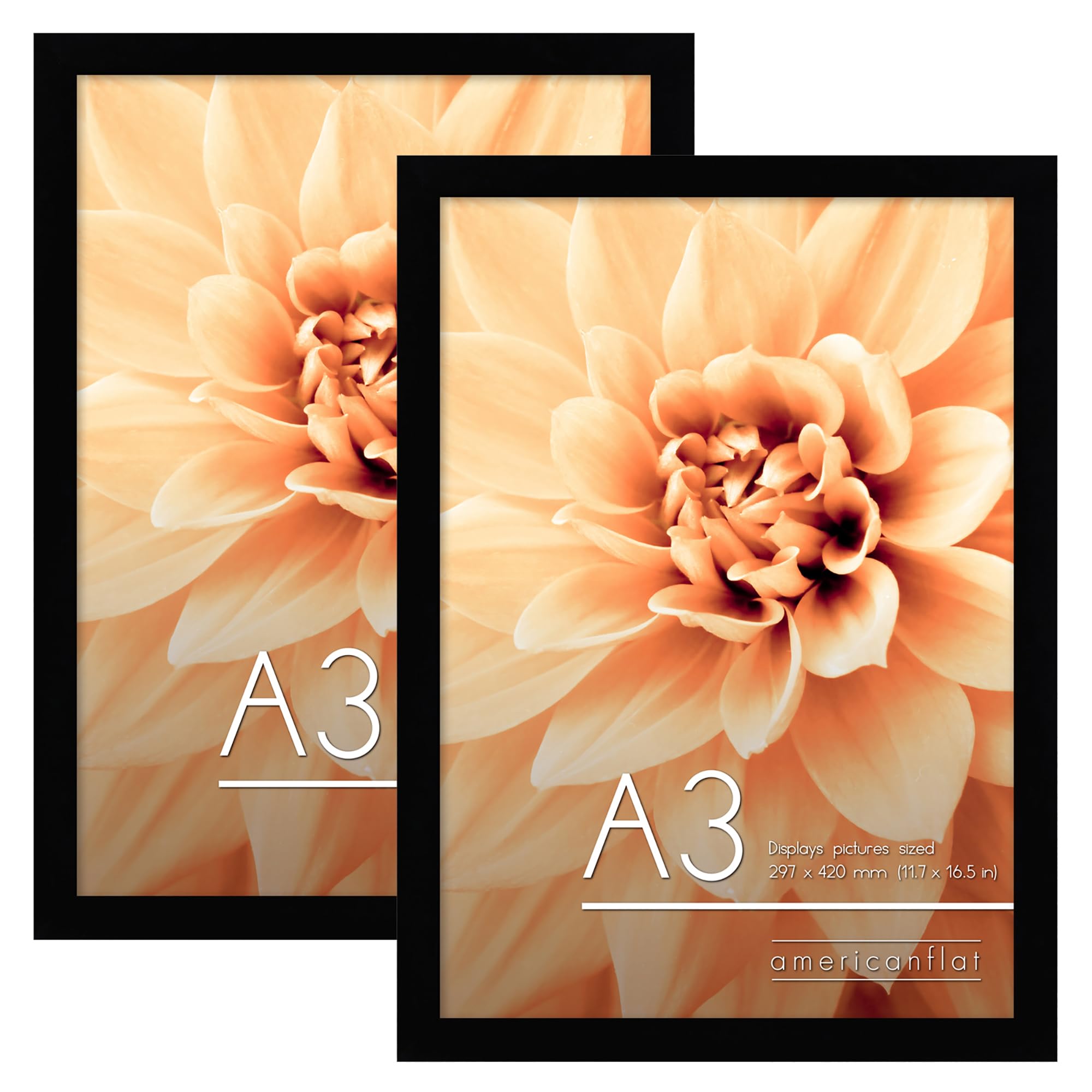 Americanflat A3 Picture Frames in Black - Set of 2 - Engineered Wood with Shatter Resistant Glass - Horizontal and Vertical Formats for Wall - 29.7x42 cm