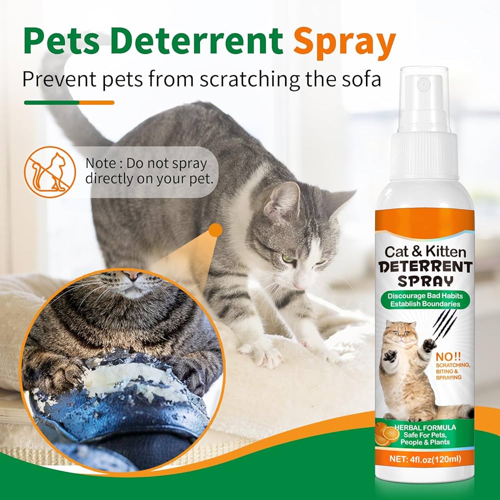 How to Get Cat to Stop Spraying in House: Proven Tips That Work