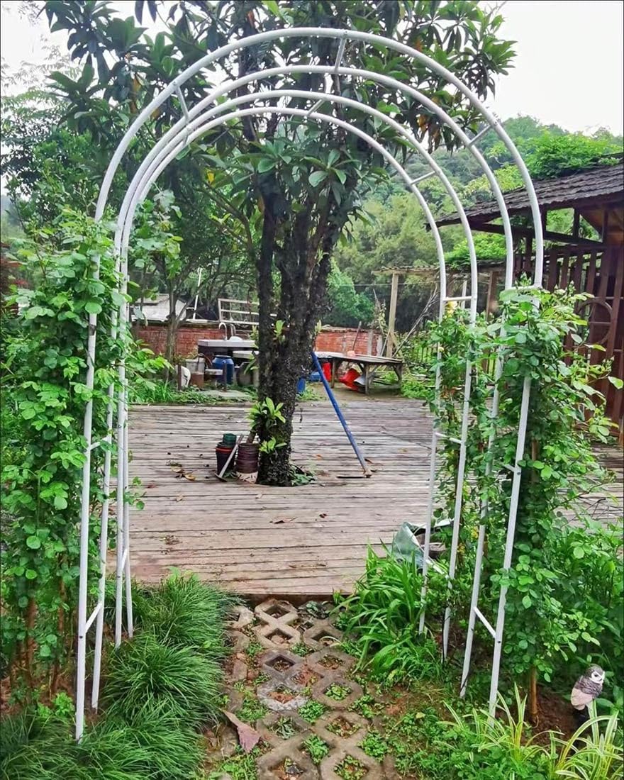 Generisch Weißer Metall-Gartenbogen - Verstellbare Rosenlaube/Pergola für Kletterpflanzen und Hochzeiten im Freien, 200-350 cm hoch x 80 cm breit, Robustes Gartenspalier.