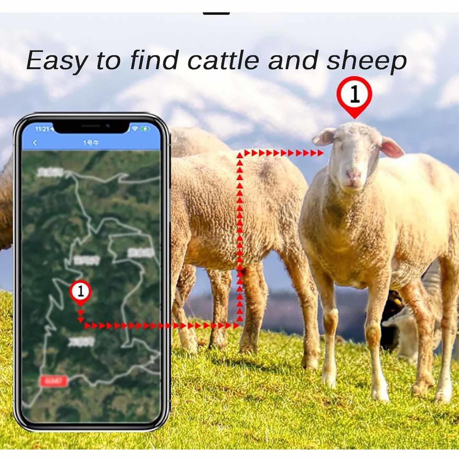 Tracker GPS dla zwierząt gospodarskich, pozycjonowanie w czasie rzeczywistym i zdalny alarm dla bydła, owiec, koni, wielbłądów, idealny do śledzenia zwierząt