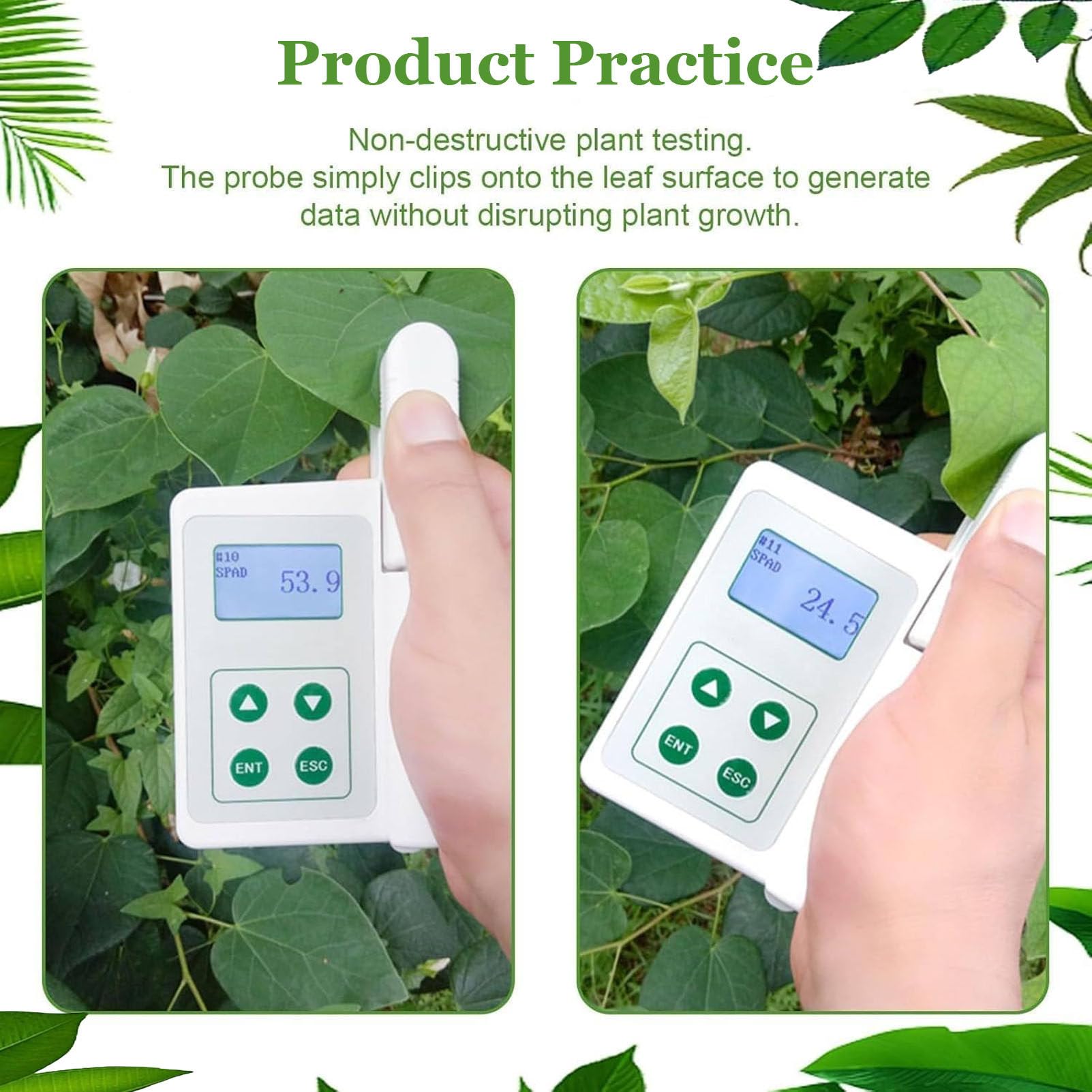 Medidor portátil de clorofila con SPAD y análisis de nitrógeno: comprobador portátil de clorofila, nitrógeno, Temperatura y Humedad, 2000 mAh, para Agricultores y científicos. B
