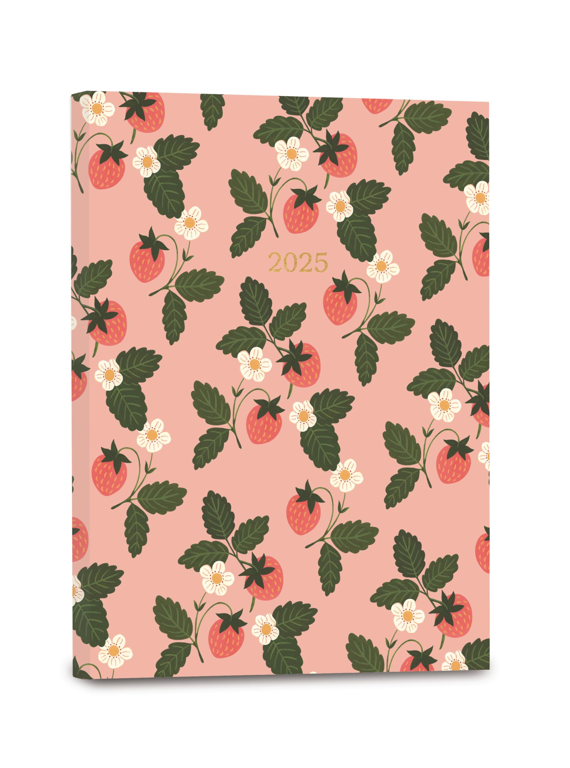 High Note 2025 Planner, 17-Month Weekly & Monthly Softcover Planner: August 2024 to December 2025, 5.75" x 7.5" - Fruits