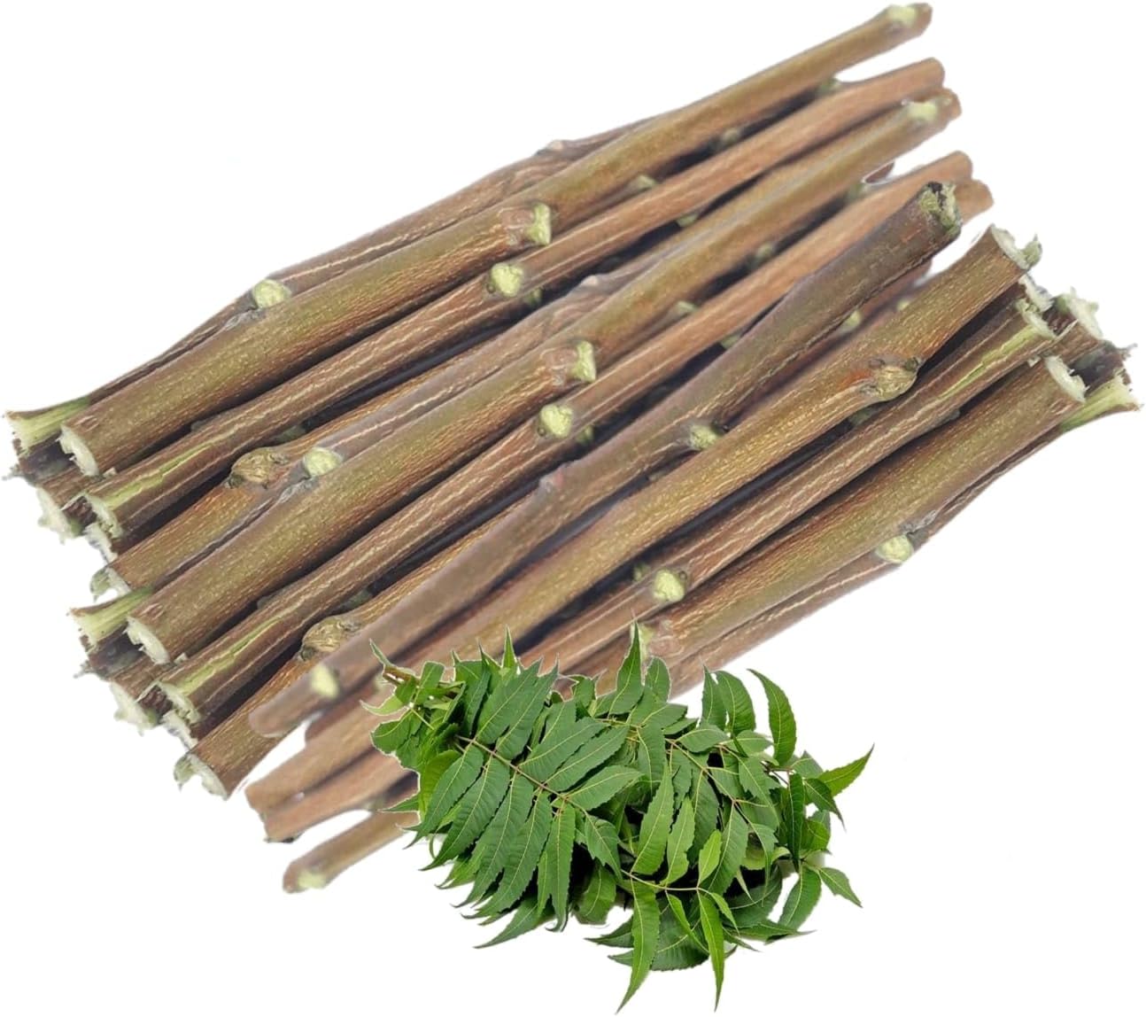 Dr. Navadiya Fresh Indian Datun Stick Use a Neem Chew