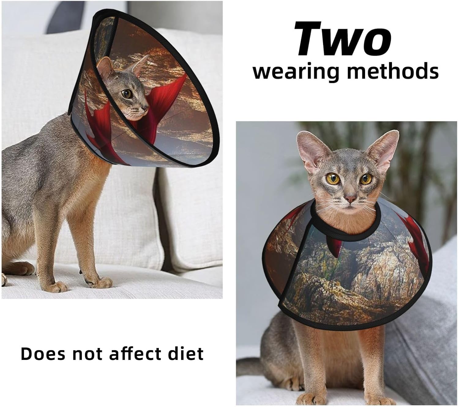 Custom Pet Cones - Unique Design Cat & Dog Cone, Collar for Post-Surgery Recovery, Adjustable Neck The Red Dream World Large