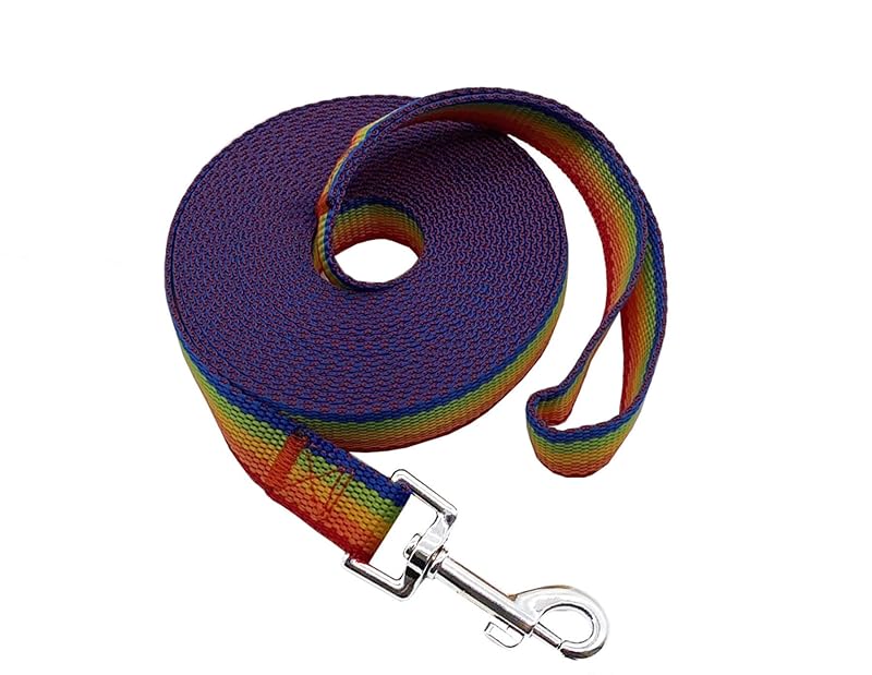Guia de Adestramento para Cães em Nylon com Conector Giratório, MANDAO, 6,10 m, Rainbow