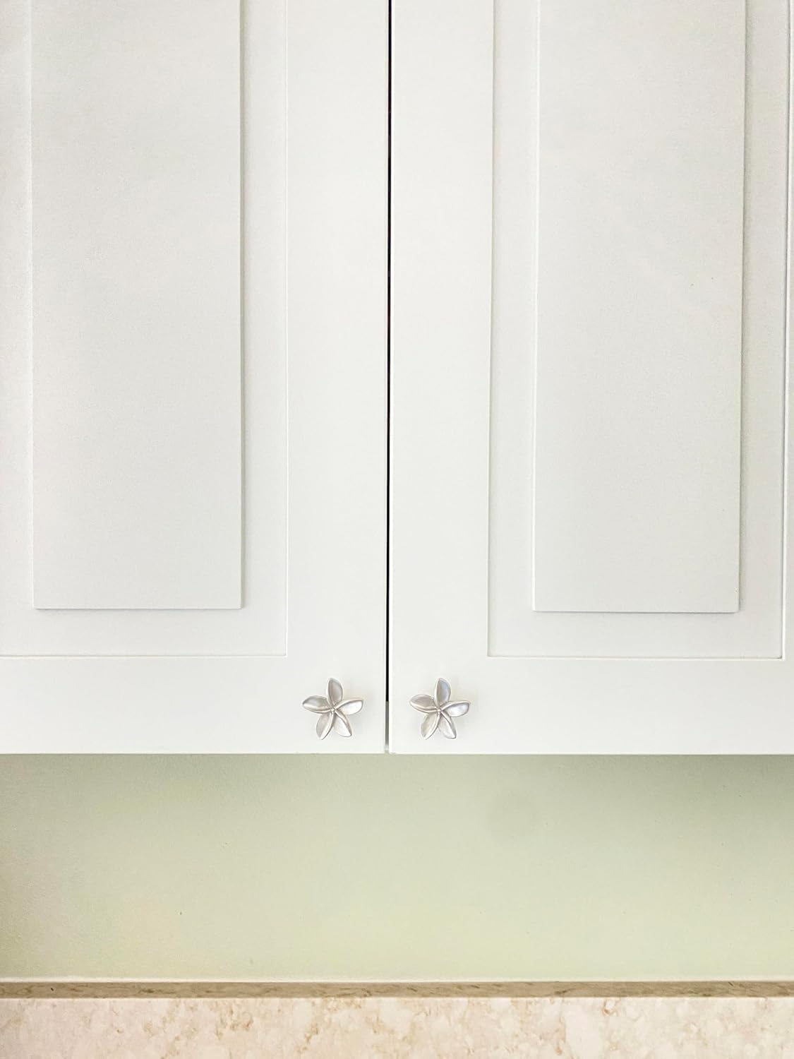 Costello Coastal - Plumeria Cabinet Knobs (2-Pack)| Frangipani Flower Drawer Knobs | Artist Pewter Collection Hardware