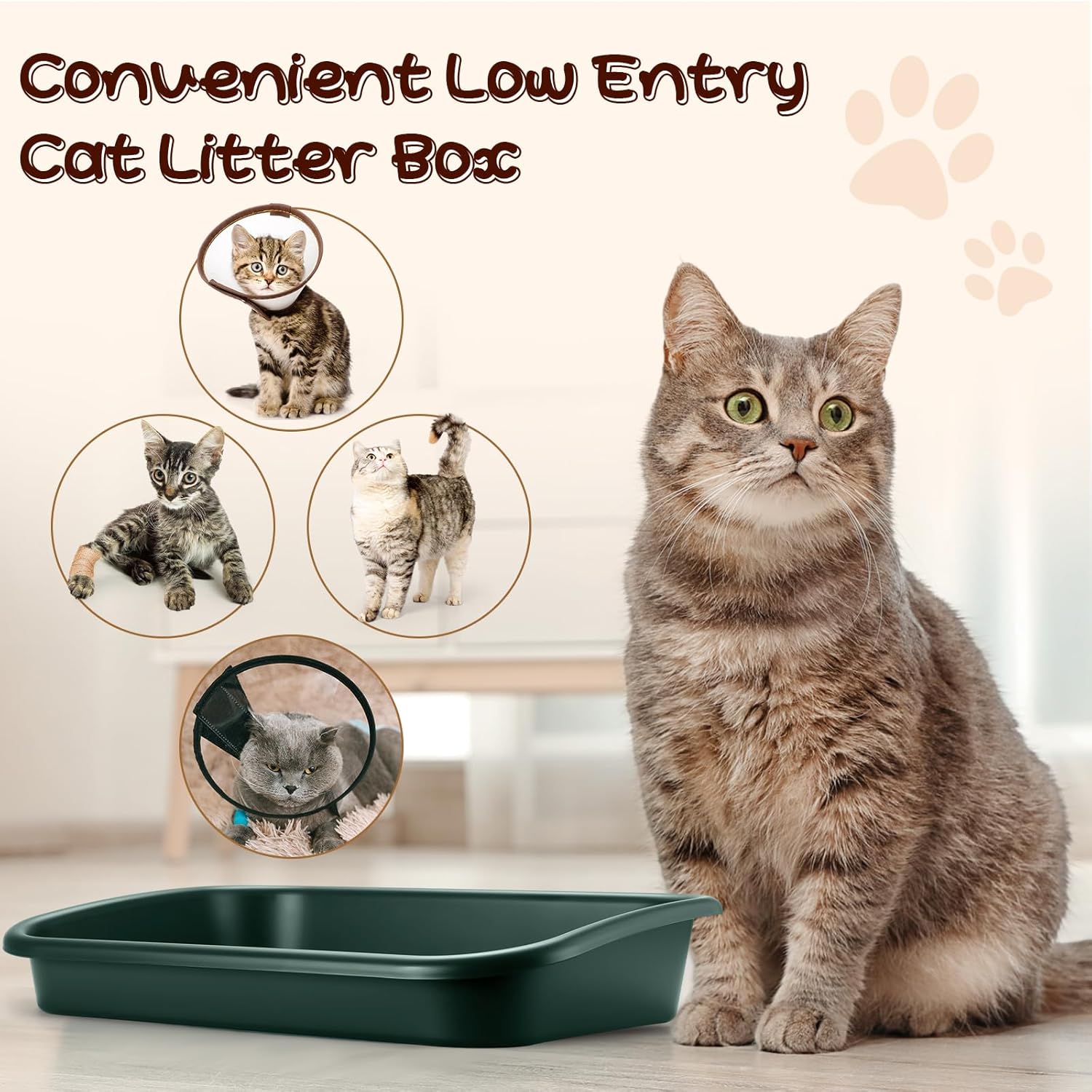 Uiifan 3 Pcs Low Entry Senior Cat Litter Box Large Size Pet Low Entry Open Top Litter Box for Senior Kitten Frail Handicap Disabled Older Elderly Cats, Easy to Clean(Dark Green)