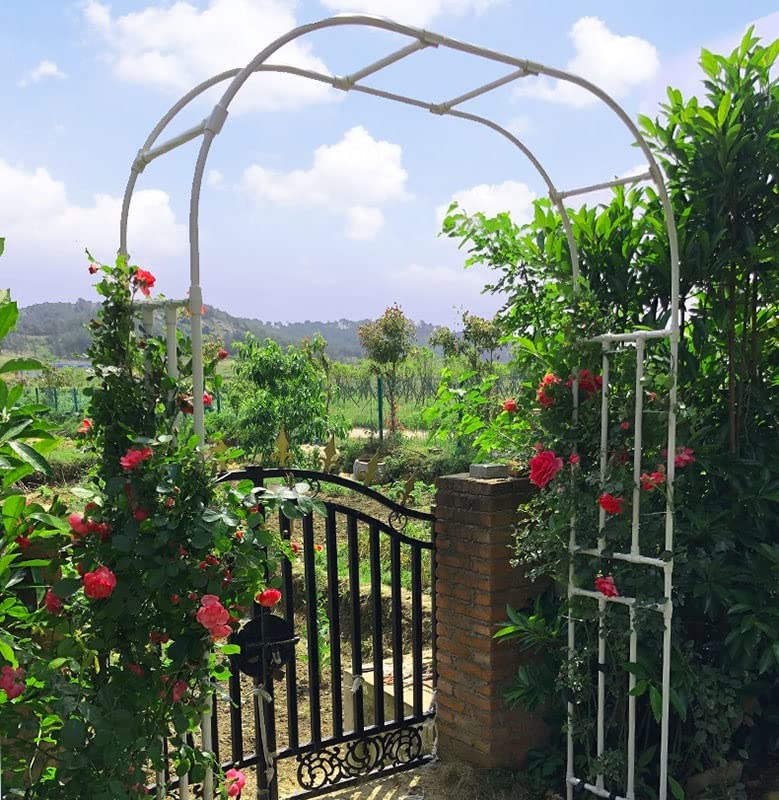 Metalowa pergola do łuku ogrodowego, stojak do pnącza, odporna na warunki atmosferyczne, biała, szerokość: 150 cm, 180 cm, 210 cm, 250 cm, 280 cm, 320 cm (rozmiar: 300 x 240 cm)