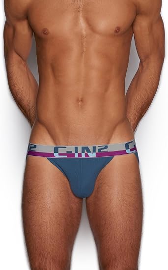 C-IN2 C-Theory Dash Brief