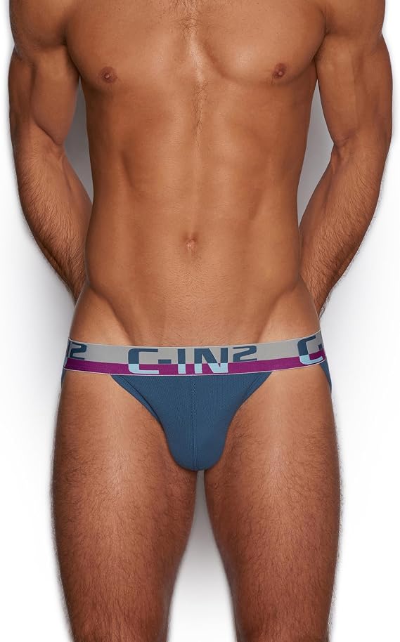 C-IN2 C-Theory Dash Brief