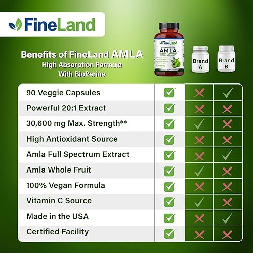 Miniatura 5 de FineLand Amla (grosella espinosa india) 20X extracto de espectro completo - 30,600 mg equivalente por porción con BioPerine para absorción, rico en