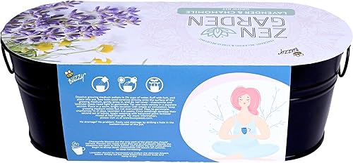 Miniatura 3 de Buzzy Semillas de manzanilla y lavanda  Kit de iniciación de hierbas, plantas, flores para niños y adultos  Kit de cultivo de jardín para alféizar