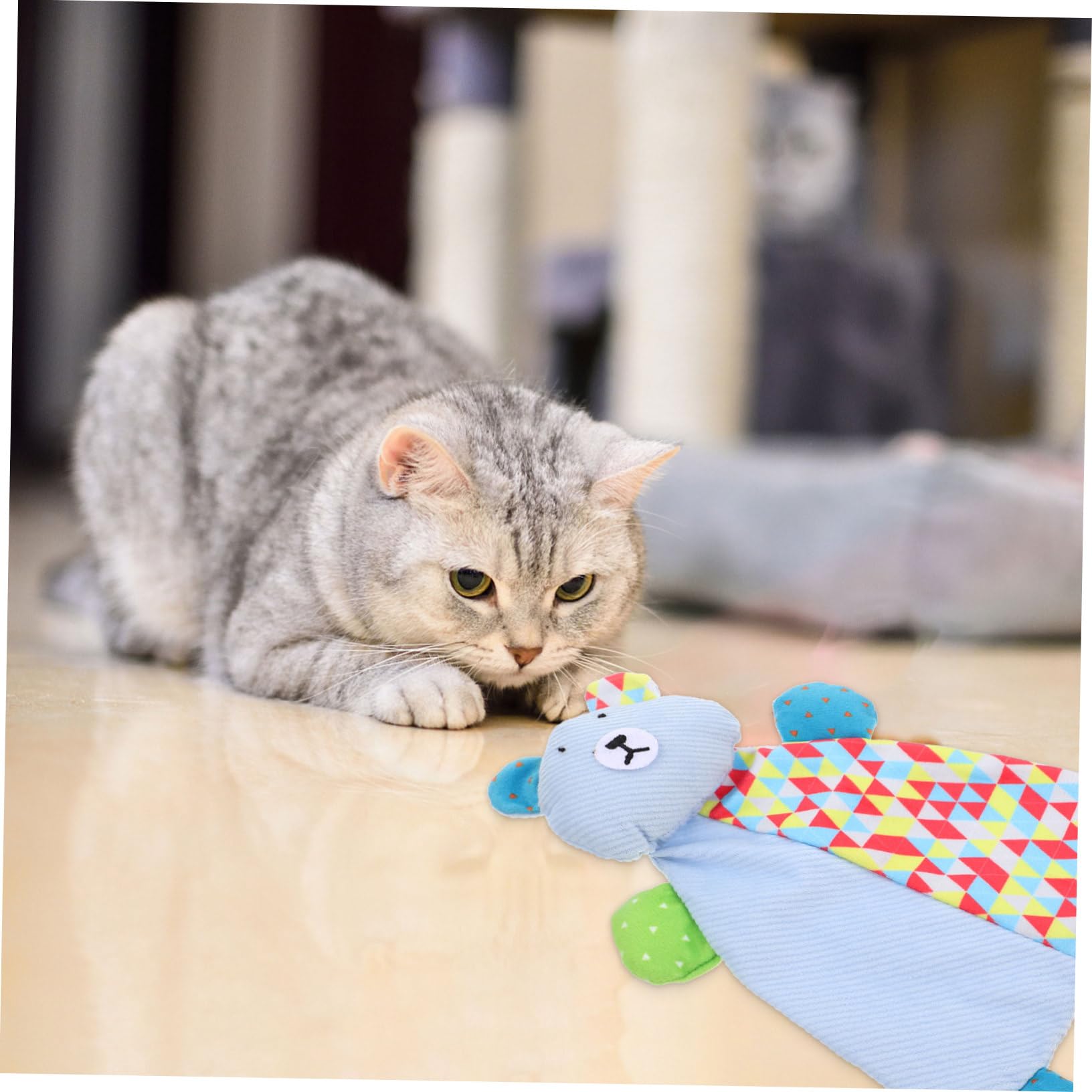 HEMOTON Jouet pour Chatons Jouet Amusant et Éveil pour Chats pour Animaux de Compagnie