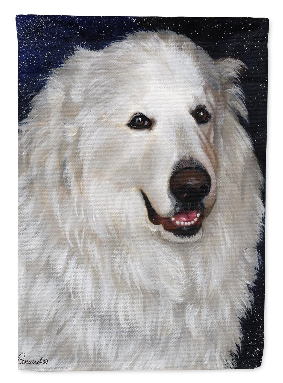 Drapeaux d'extérieur en polyester Caroline's Treasures PPP3104GF double pli