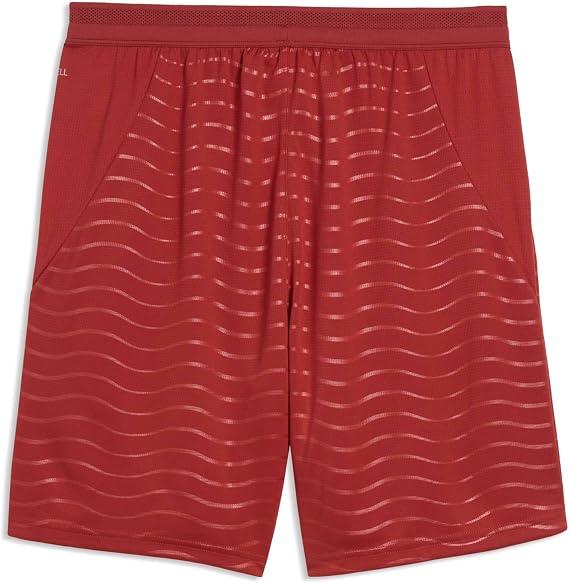 Puma Men's FA Portugal Shorts Replica