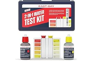 Essential Pool Testing: 2-in-1 Test Kit for pH &amp; Chlorine Levels