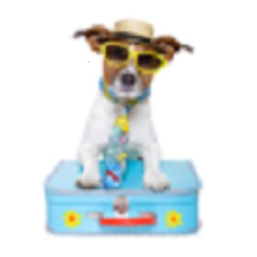 Cheap Vacation Stays - //medicalbooks.filipinodoctors.org