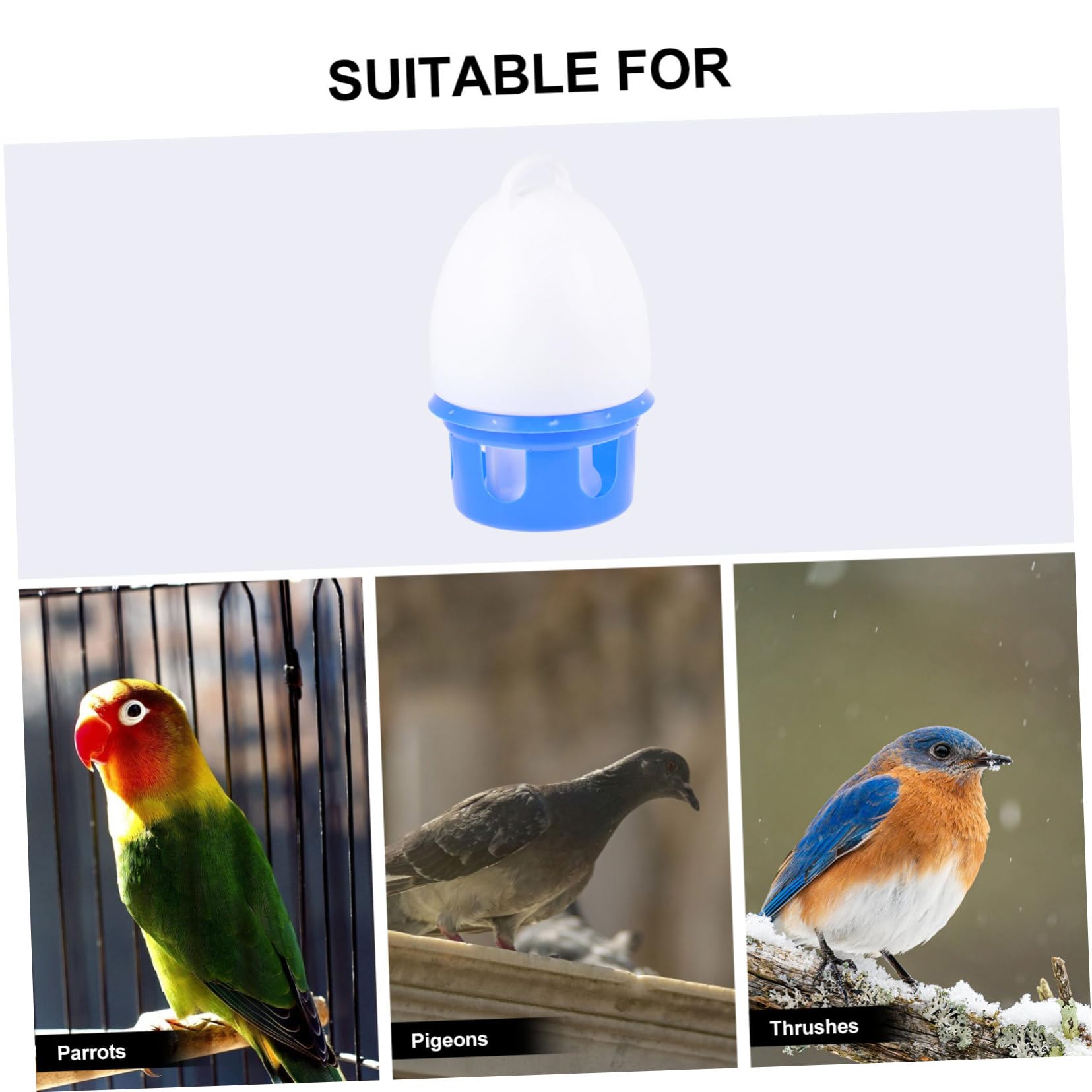 Abreuvoir pour Pigeons en PVC Bleu, Rond, 1 Pièce, Détachable