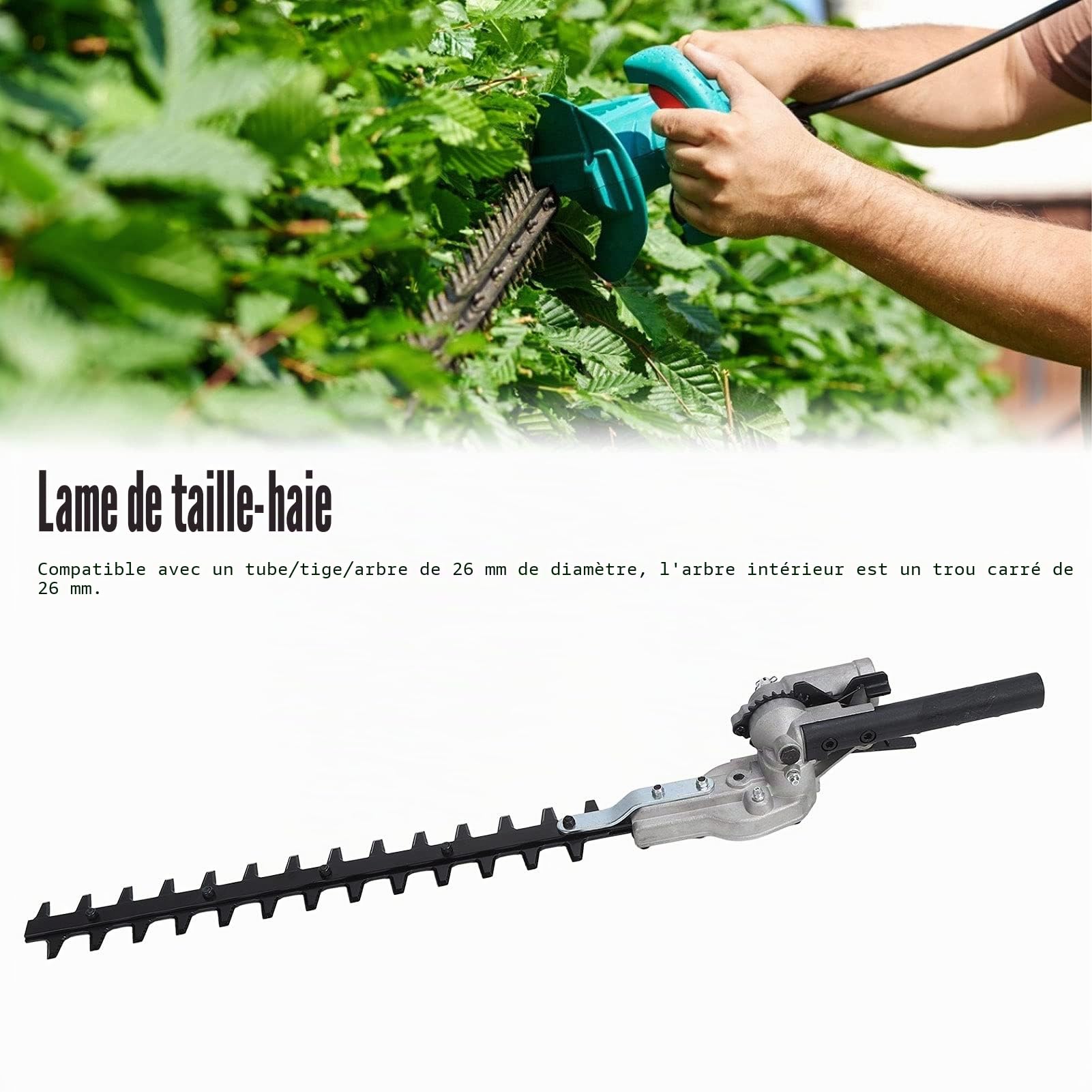 Tête de Taille-haie 26 Mm, Fixation de Lame de Taille-haie de Remplacement pour Débroussailleuses, Bordures de Jardin, Conception à Double Lame