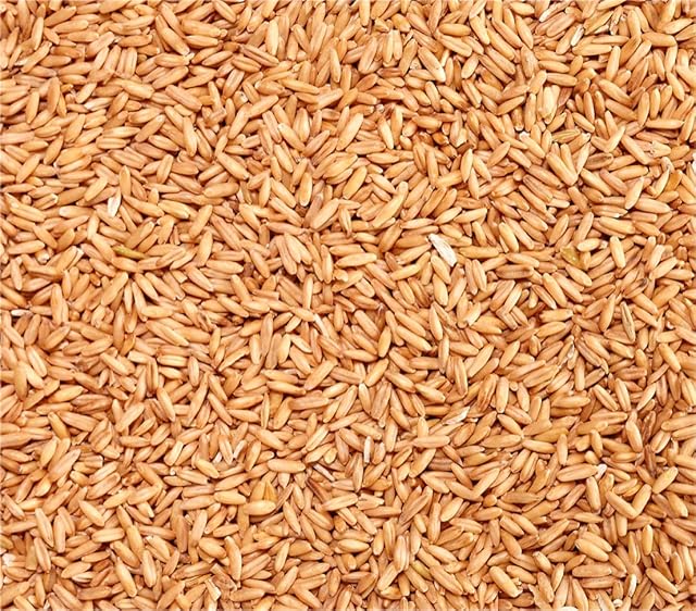 Foto 3 de 3 de Dehner Avena pelada, 10 x 1 kg (10 kg)