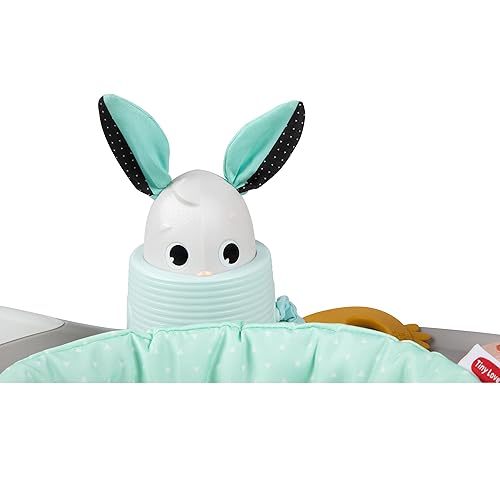 Miniatura 8 de Tiny Love - Andadera días del prado