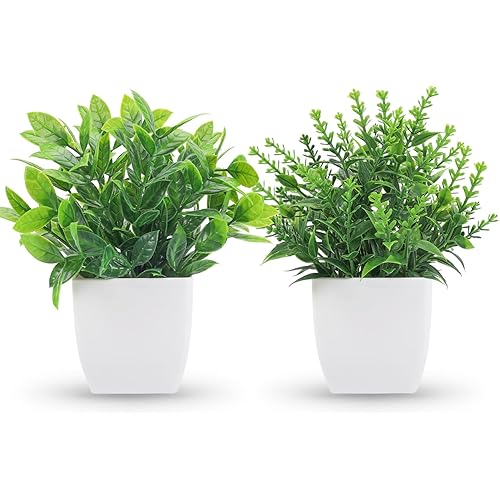 Der Rose 2 Packs Fake Plants Small Faux Artificial Small Potted Plants Indoor for Room Home Office Farmhouse Bathroom Decor