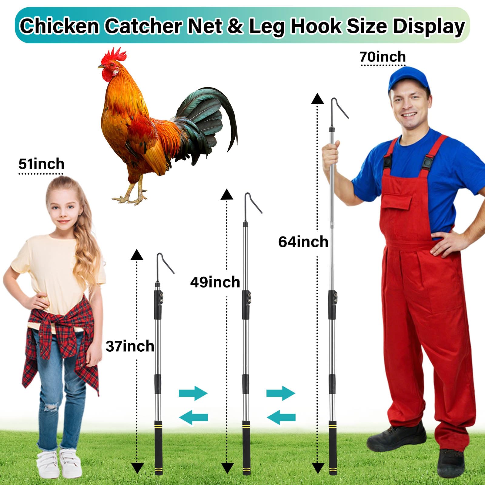 Frebuta Hühnerfangnetz – Einstellbar 94–236 Cm, Extra Langer Griff, Rutschfester Fanghaken Mit Gummischutz, Für Hühner, Enten & Mehr
