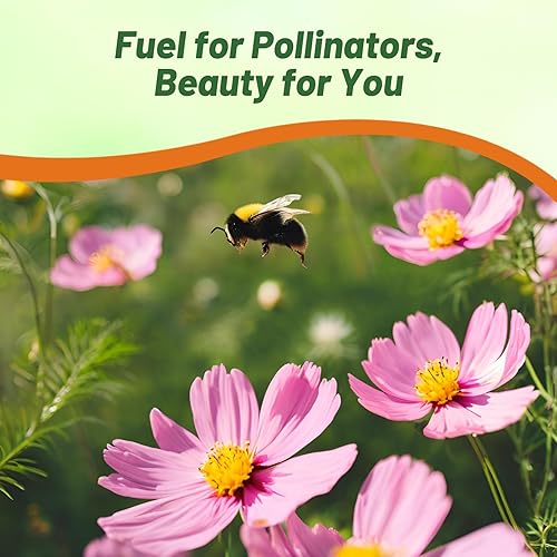 Miniatura 5 de Outsidepride 50 semillas anuales Cosmos Bipannatus Pink Popsocks cortadas semillas de flores para plantar