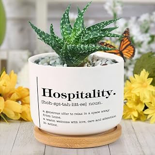 Hospitality Definition Dictionary Word Meaning Planter Ceramic Round Plant Pots with Drainage Holes and Bamboo Tray Planting Small Flower Pots for Home Windowsill Desk Garden Indoor Outdoor Use