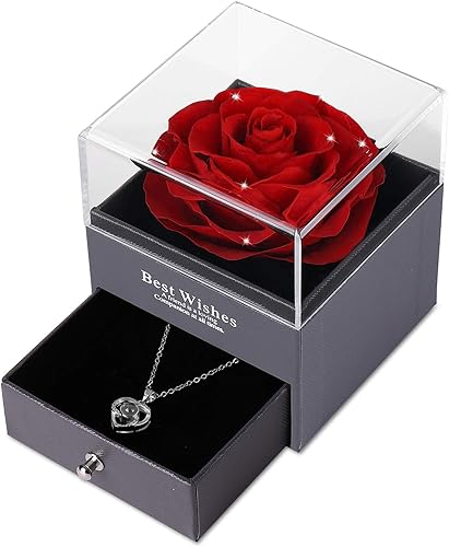 Miniatura 2 de Rosa real preservada con collar con diseño de corazón con I LOVE YOU en 100 idiomas (idioma español no garantizado), ideal para regalo de San