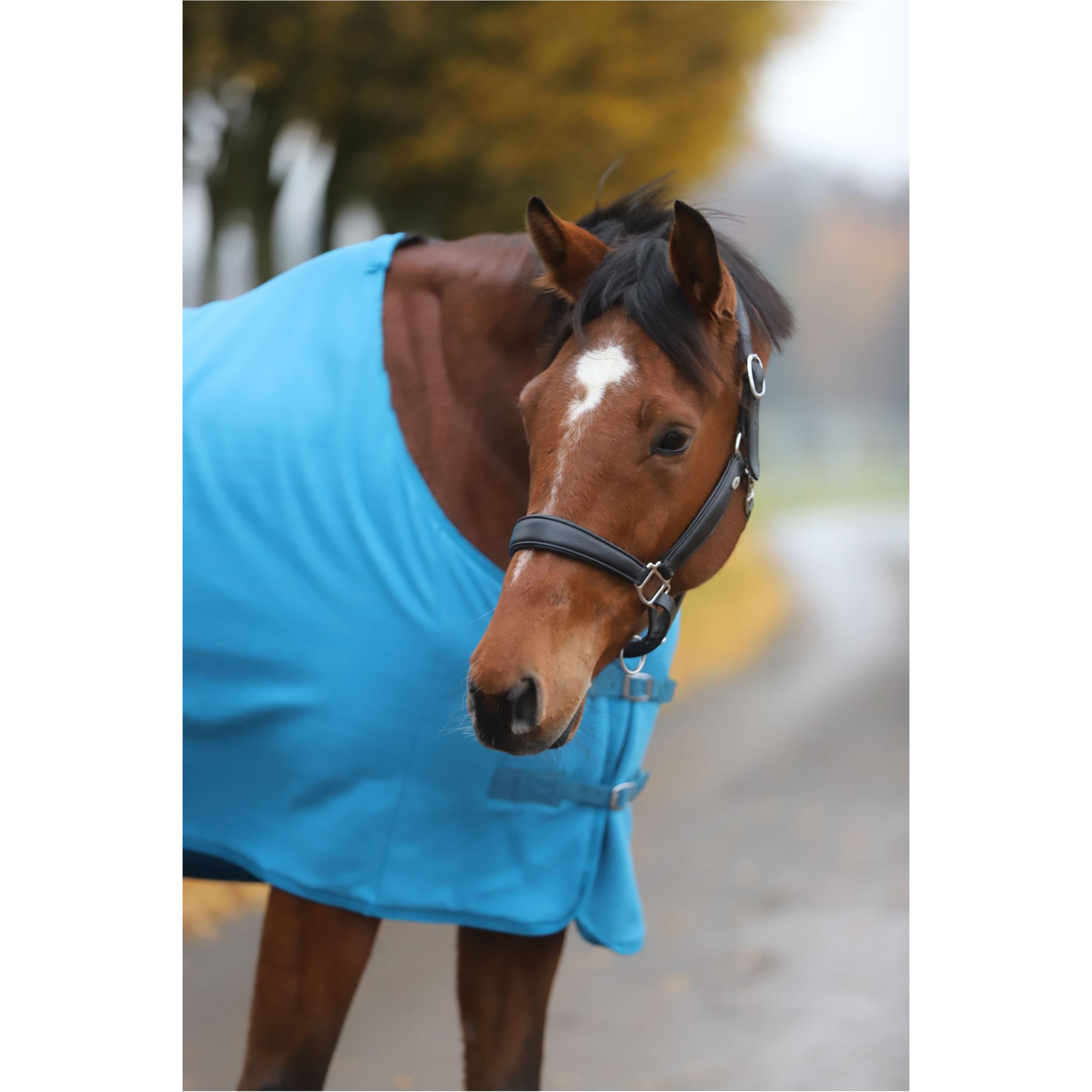 RL24 - Abschwitzdecke Basicline – Pferdedecke mit Schweifkordel, Widerristpolster & Metallverschluss – atmungsaktive Fleecedecke – Pferde Zubehör – Transportdecke in Petrol – 95cm