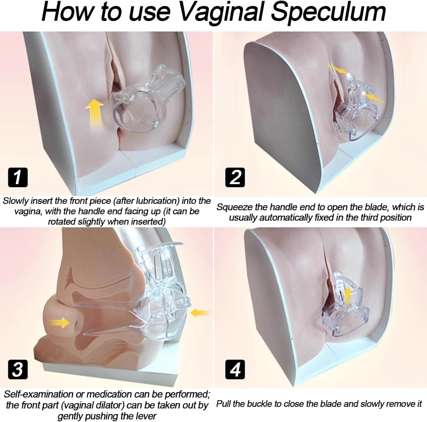 Utero Femminile Umano e Modello dell'ovaio, Modello ginecologico di Guida contraccettiva di Struttura Anatomica accurata